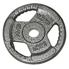 KOTOUČ S DRŽADLEM HAMMERTONE 2,5KG HMS